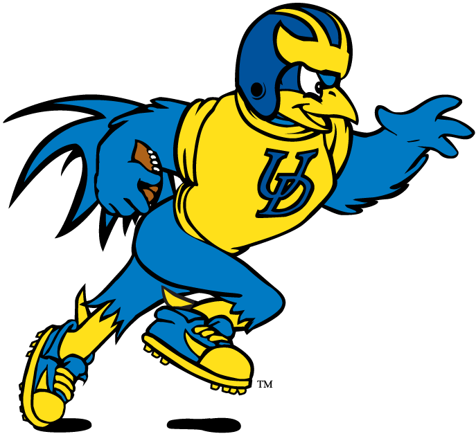 Delaware Blue Hens 1993-Pres Mascot Logo t shirts DIY iron ons v9